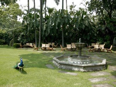 Hotel Las Ma�anitas