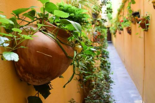 Casa Maricela B&B
