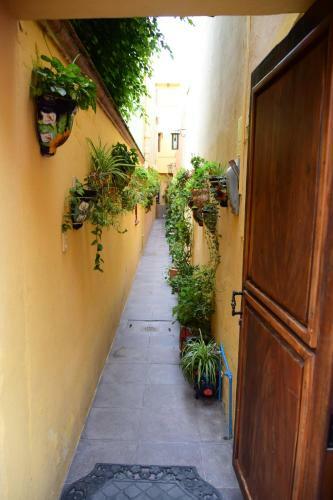 Casa Maricela B&B