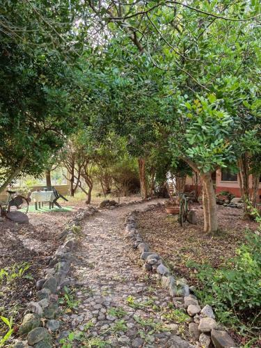 Agroturismo Sa Stella E Monti