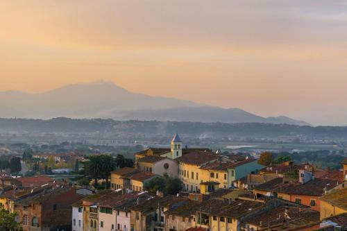 Alvise