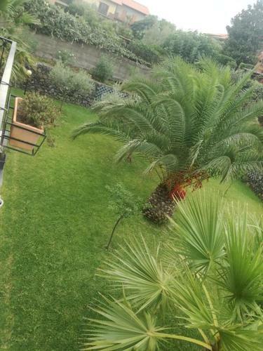 Apartamento I Capricci Dell'etna 1 Di Puglisi