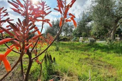 Apartamento Ombretta Appartament
