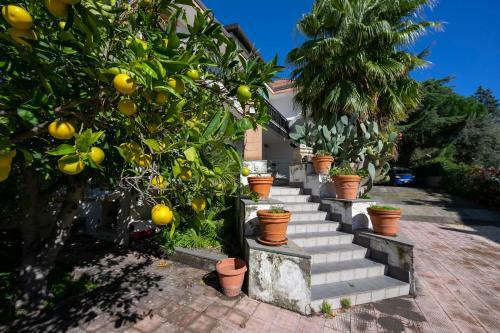 Apartamento Ombretta Appartament