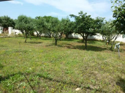 Hostal Campomarino Vacanze