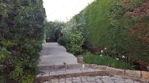 Villa Casa Del Pesce Guardiano