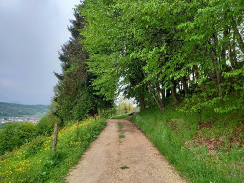 Bed & Breakfast Le Sorgive
