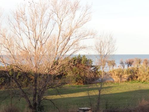 Apartamento Appartamento Vista Mare