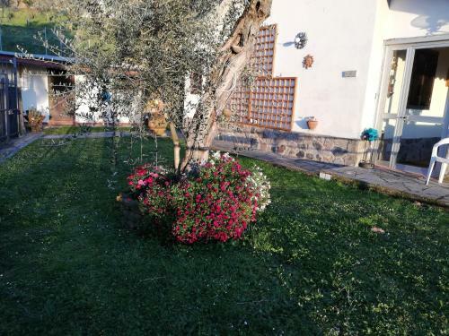 Villa Mareli, UNA Terrazza Sul Mare