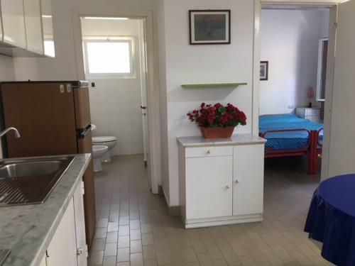 Camping Nuovo