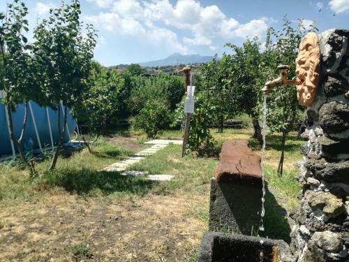 Il Limoneto Di Leo