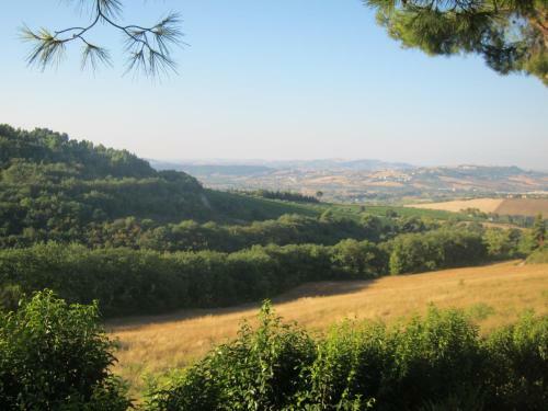 Villa Conero-la Pecorara