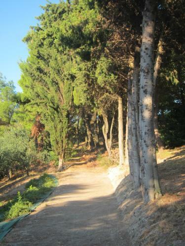 Villa Conero-la Pecorara