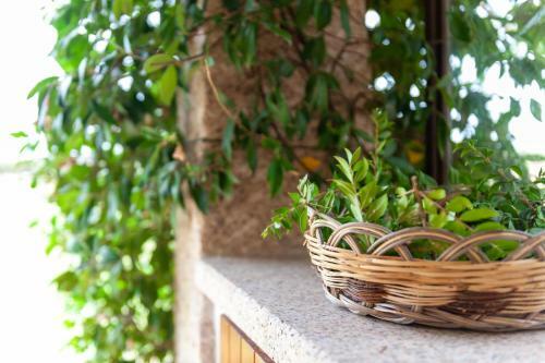 Apartamento Tanca de Mar - Your Wonderful Holiday
