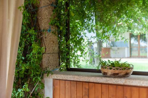 Apartamento Tanca de Mar - Your Wonderful Holiday