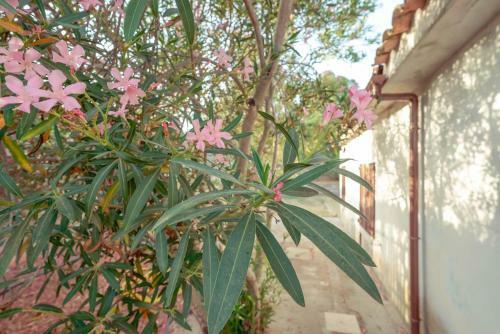 Villa Domu Prexada - Casa Vacanze