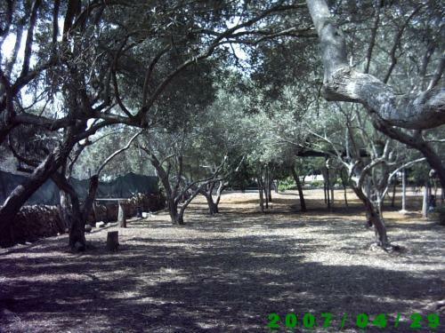 Agroturismo Agriturismo Mediterraneo Camping