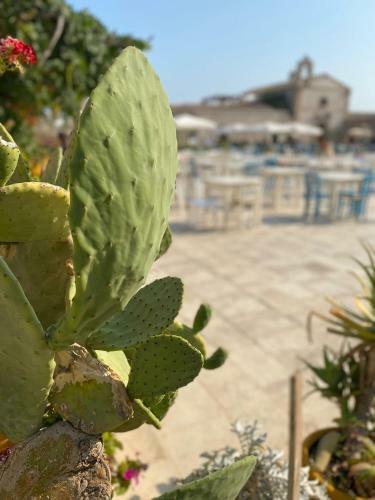 The Sail Apartment - Marzamemi