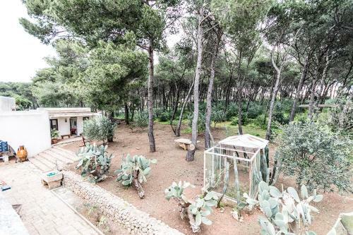 Apartamento Faber Fecit - Relax By Nature