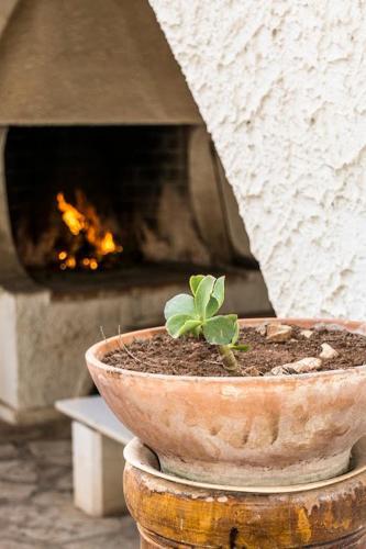 Apartamento Faber Fecit - Relax By Nature
