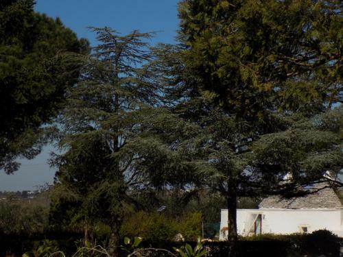 Bed & Breakfast Antica Storia