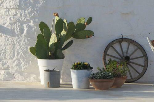 Delizioso Trullo Al Centro Della Valle D'itria