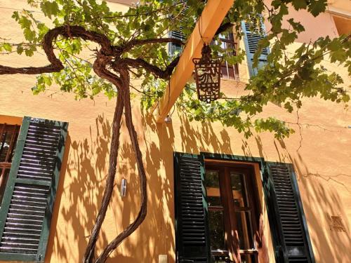 Villa Palma Country House