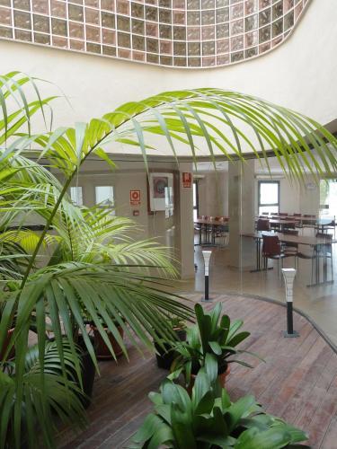 Hotel Nou Avenida