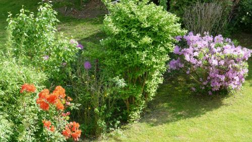 Hostal Privatzimmer Hamburg Alsterdorf