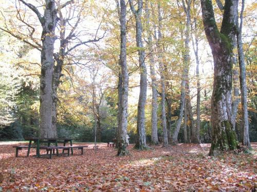 Apartamento Orchidea Mattinata Parco Del Gargano