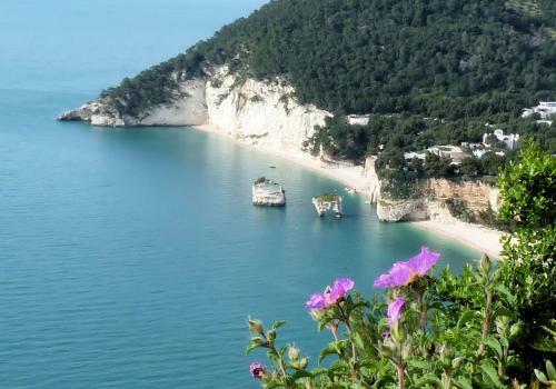 Apartamento Orchidea Mattinata Parco Del Gargano