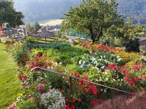 Apartamento Alpenrose