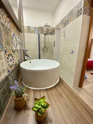 Hostal Seacily House