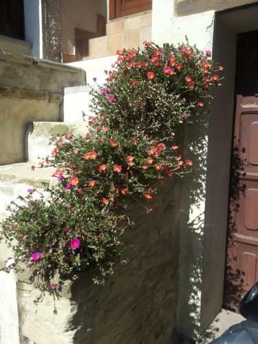 Apartamento Fra Bosco E Cielo B&B