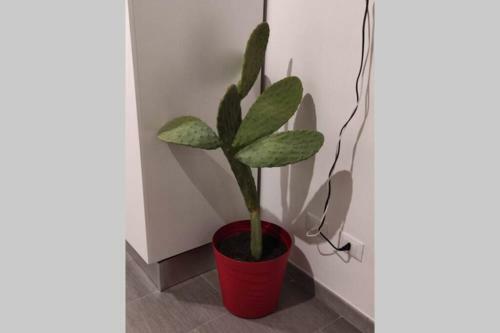 Apartamento Casa Vacanze Mfm