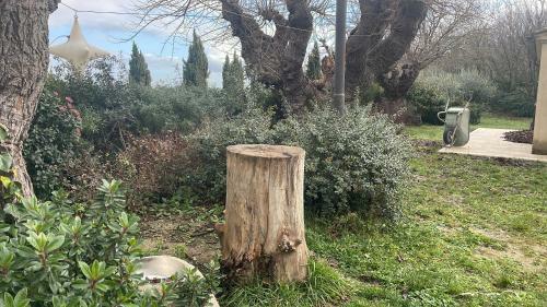 Bed & Breakfast Agriturismo Colle Delle Stelle