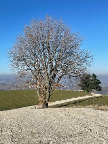 Bed & Breakfast Agriturismo Colle Delle Stelle