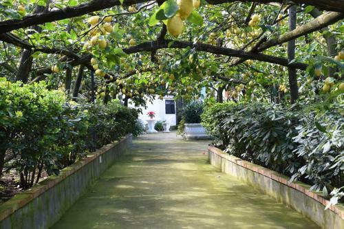 Apartamento De Gregorio