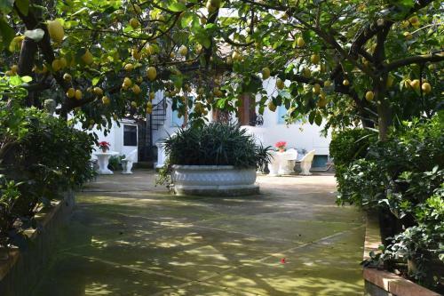 Apartamento De Gregorio