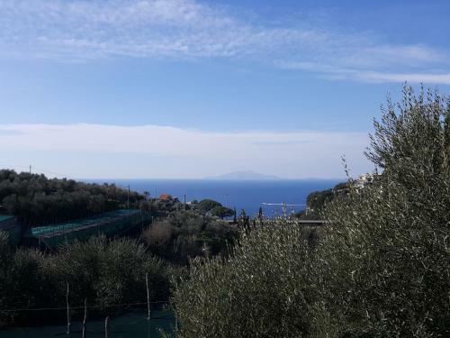 La Scaletta Casa Vacanze