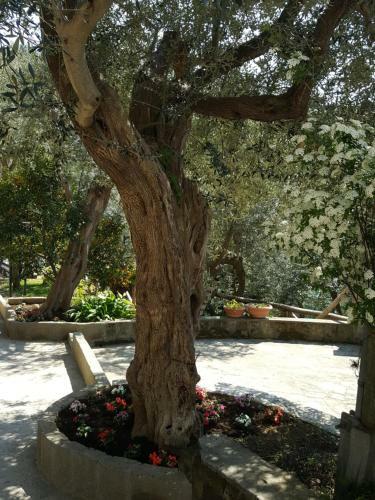 La Scaletta Casa Vacanze