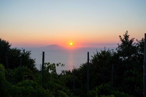 Villa Sun And Relax
