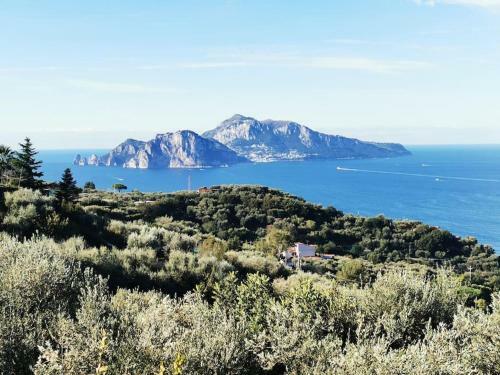 Villa Capri Wonderful View