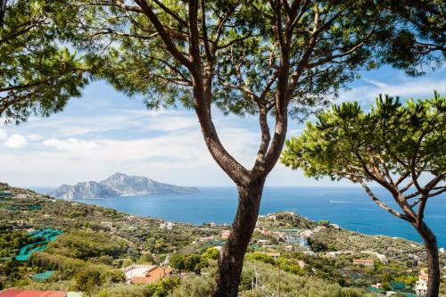 Villa Sole Di Capri