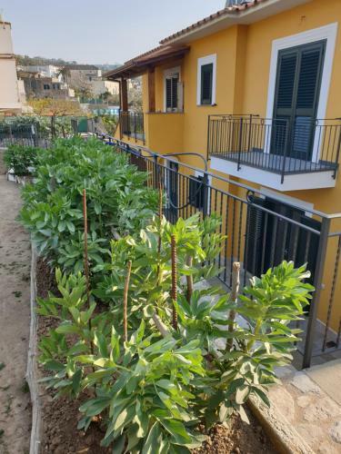 Casa Vacanze Il Frutteto