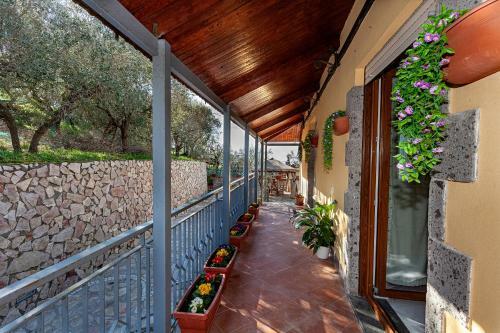 Il Tiglio-holiday Home