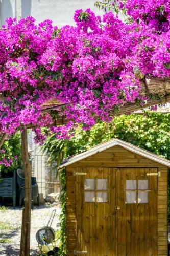 Bed & Breakfast Villa Lorelei