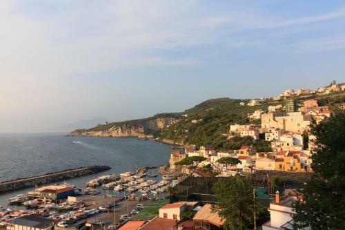 Villa Carlotta - Relax A Due Passi Dal Mare