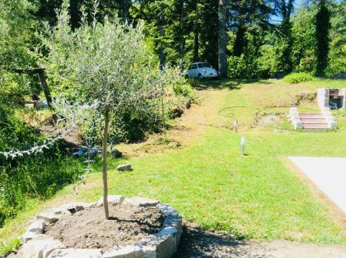 Agroturismo Le Apuane