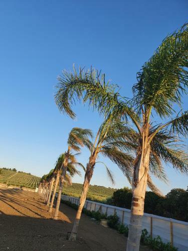 Apartamento Casa Vacanze Gioberta
